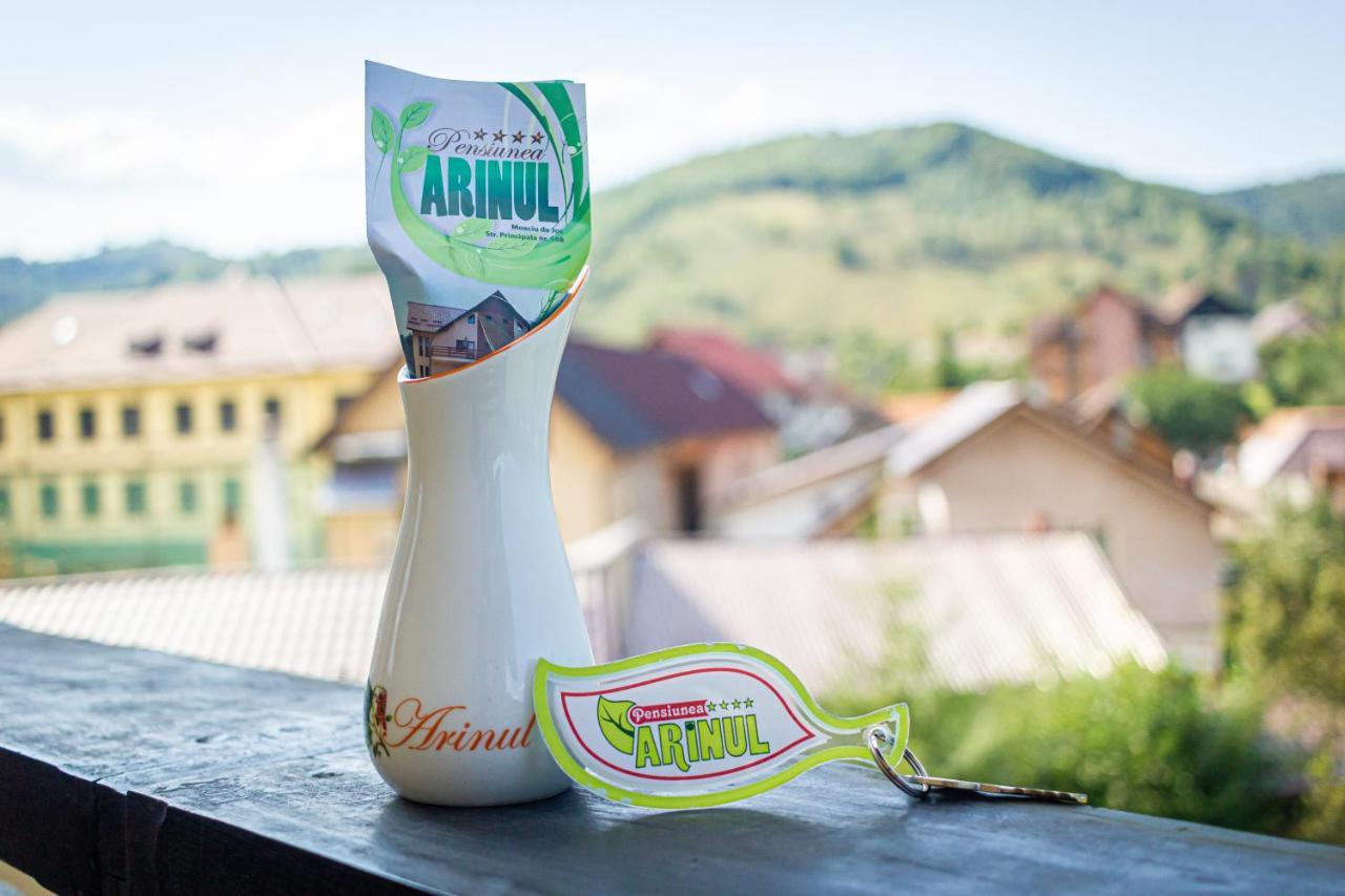 Pensiunea Arinul Moieciu de Jos Buitenkant foto